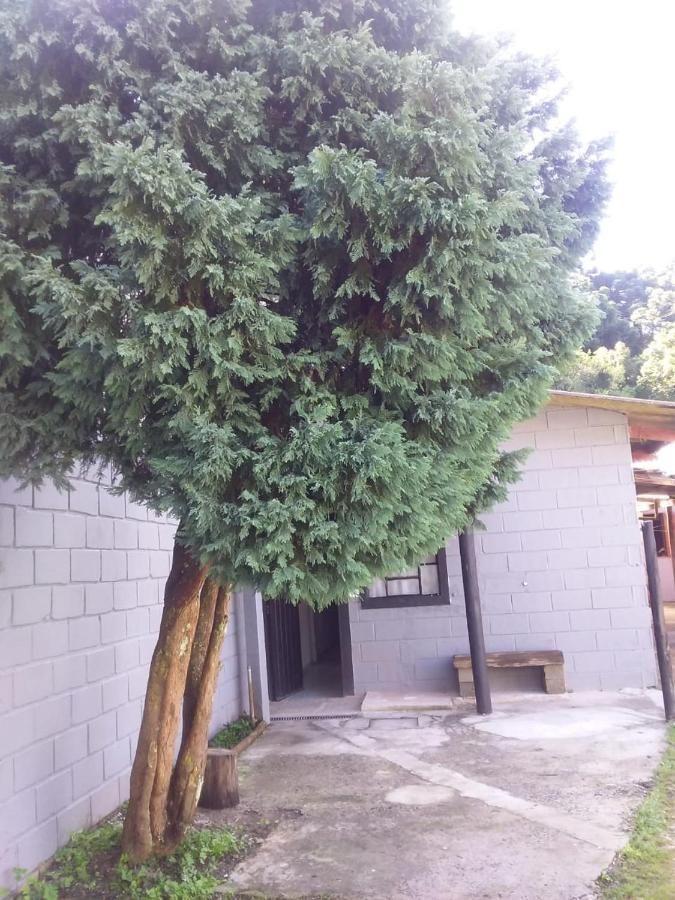 Kitnet Recanto De Campos-Pertinho Do Centro Villa Campos do Jordão Exteriör bild